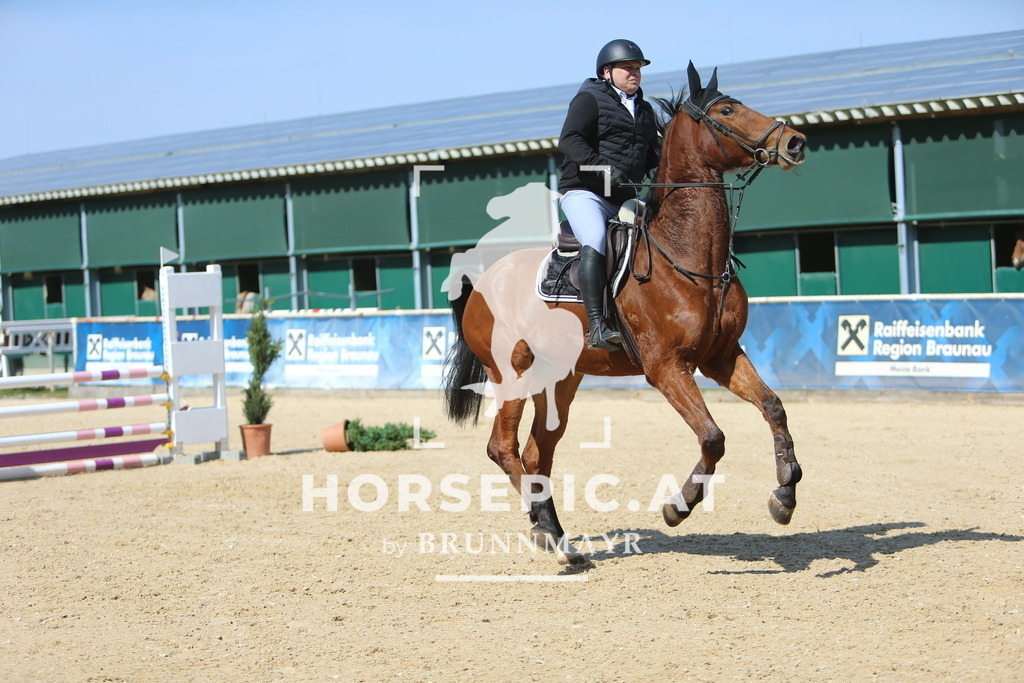 DL2Q3247 | Willkommen bei Brunnmayr - Design & Fotografie – Ihrem Spezialisten für Reitturniere und Pferdeveranstaltungen in Oberösterreich, Salzburg und Bayern! Seit über 17 Jahren sind wir leidenschaftlich dabei.