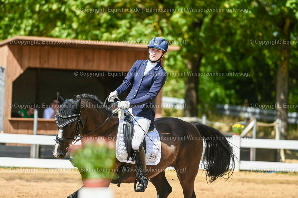20230715_02_Dressurreiterprüfung Kl.L_0276 | equistock