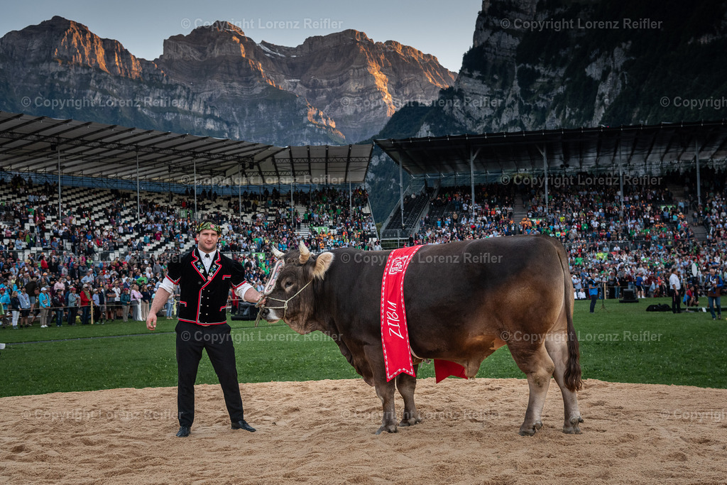 Schwingen -  ESAF Sonntag 2025 | Mollis, 31.8.25, Schwingen - ESAF Sonntag.