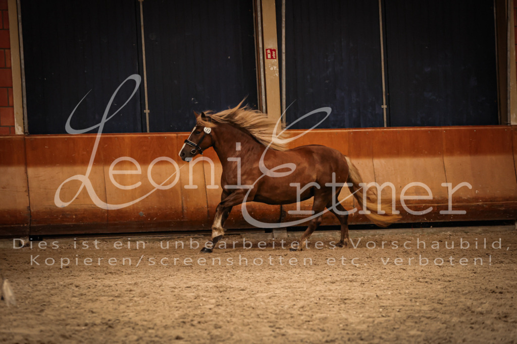 SaFL00437 | Leoni Ertmer Photography - Realisiert mit Pictrs.com