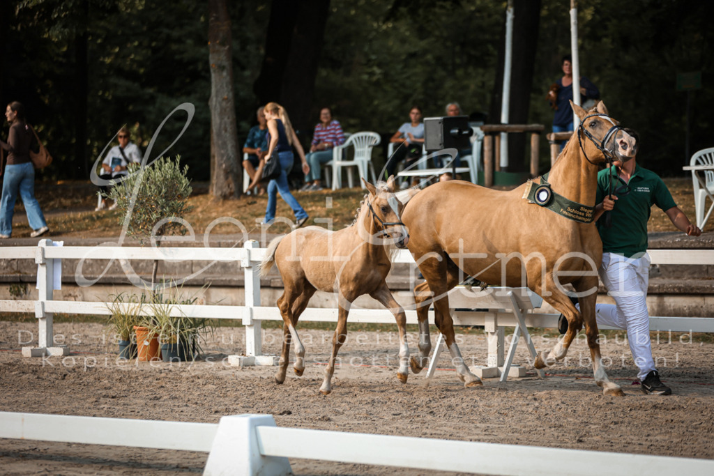 11.DoRP00189 | Leoni Ertmer Photography - Realisiert mit Pictrs.com