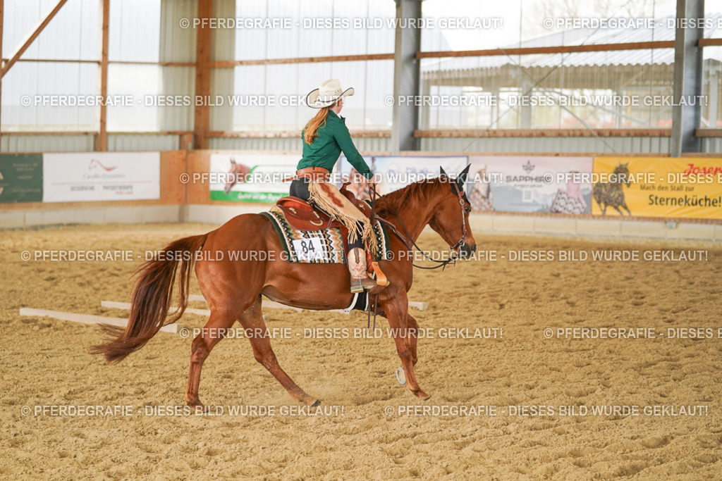 DSC04594 | Pferdegrafie