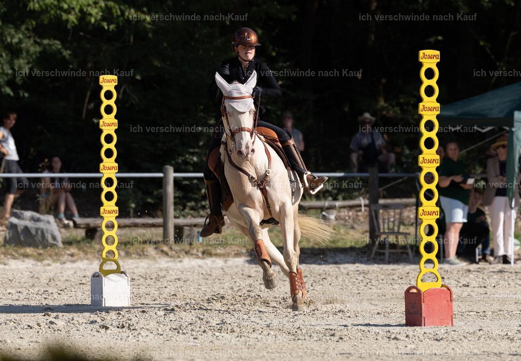 WS_SPEED_65_KerstinBernhardt-6 | working equitationturnier fotograf videograf stoibphotography marixx film working equitation deutschland reitsport turnierfotografie eventfotografie equestrian events