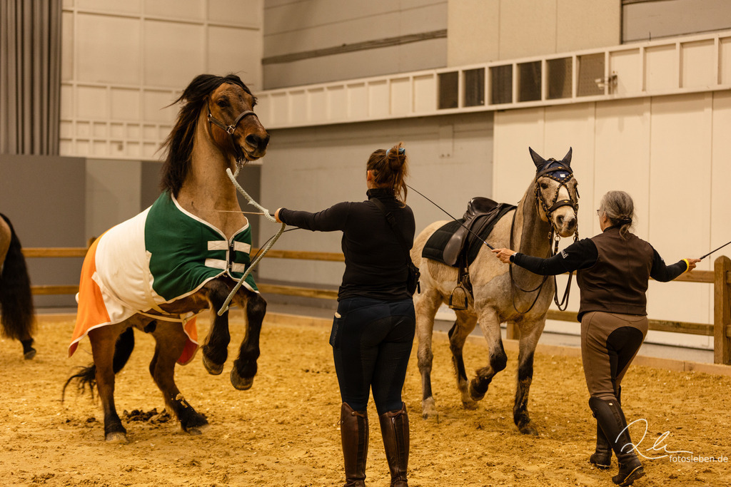 846A9836 | fotosleben - Realisiert mit Pictrs.com