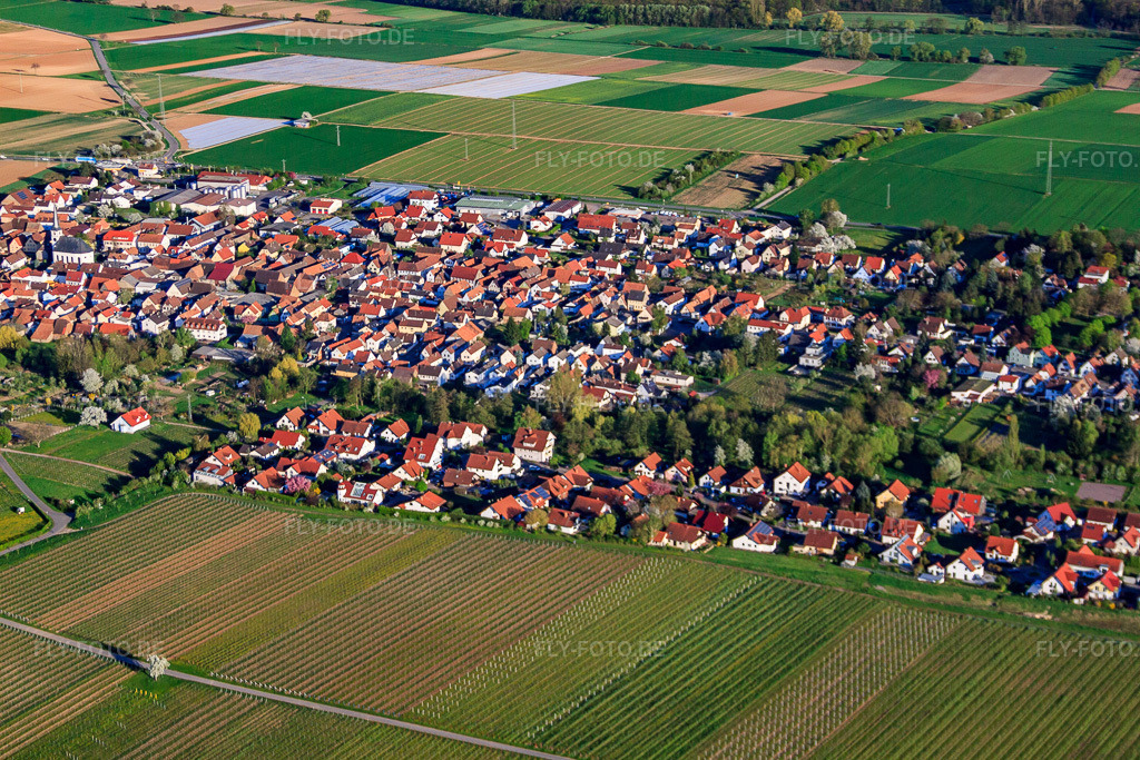 Luftbild: Ortsansicht aus Norden im Ortsteil Niederhochstadt in Hochstadt im Bundesland Rheinland-Pfalz in Deutschland. Foto: IMG_56742.jpg vom 25.04.2013 durch Werner Riehm/FLY-FOTO.deAuflösung des Originals: 4752 x 3168 px
