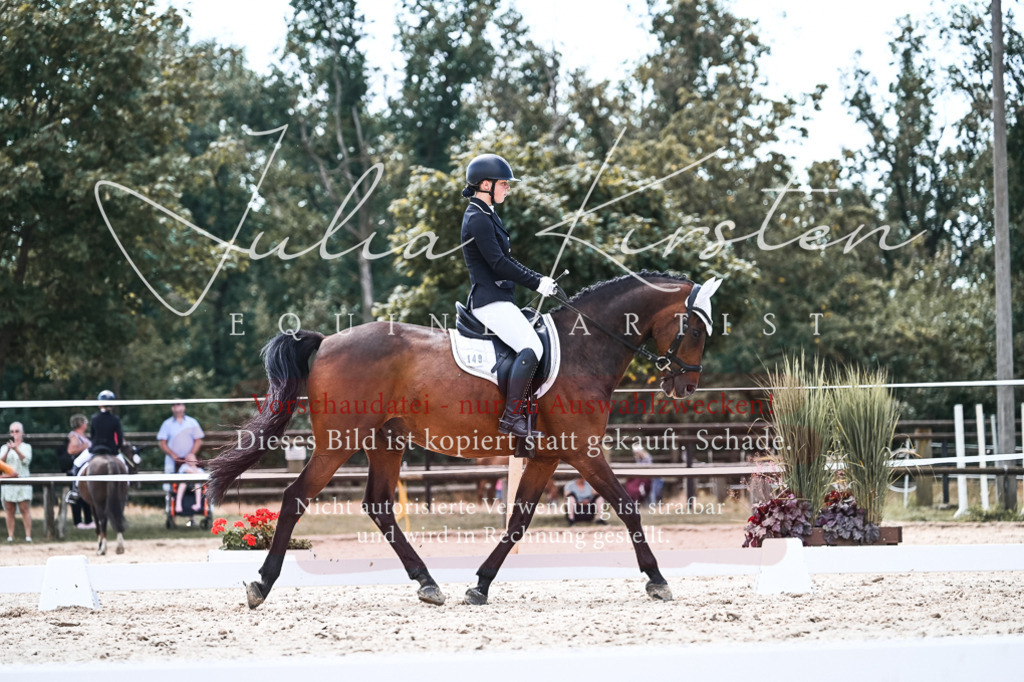 DSC_5633 | Pferde- und Turnierfotografie in Westsachsen. Pferdeportraits, Auftragszeichnungen und intuitive Kunst.