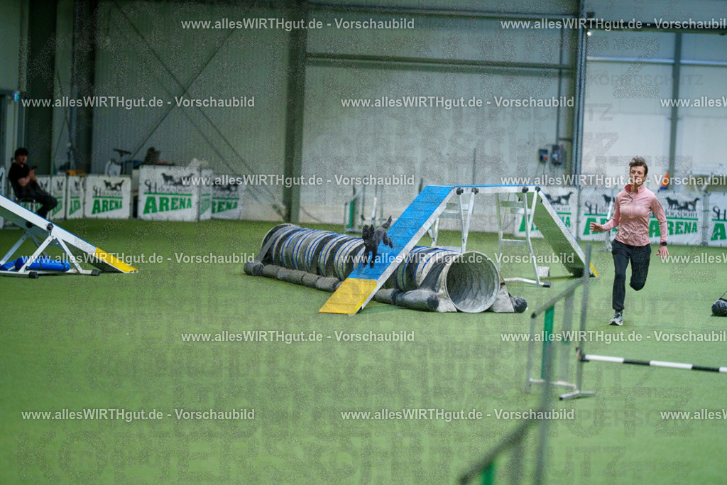 @allesWIRTHgut_Tierfotografie - www.allesWIRTHgut.de - 2604250858-7R508241 | Professionelle Tierfotografie in Mönchengladbach von Daniel Wirth (allesWIRTHgut). Liebevolle & natürliche Bilder von Hunden & Katzen für unvergessliche Erinnerungen.