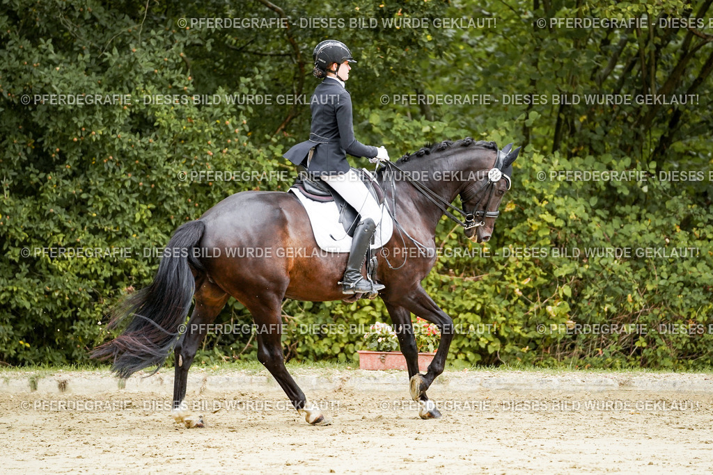 DSC03995 | Pferdegrafie