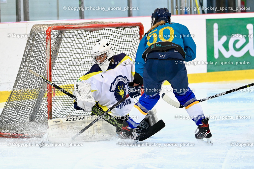 BST_6694 | hockey sports photos, Pressefotos, Sportfotos, hockey247, win 2day icehockeyleague, Handball Austria, Floorball Austria, ÖVV, Kärntner Eishockeyverband, KEHV, KFV, Kärntner Fussballverband, Österreichischer Volleyballverband, Alps Hockey League, ÖFB, 