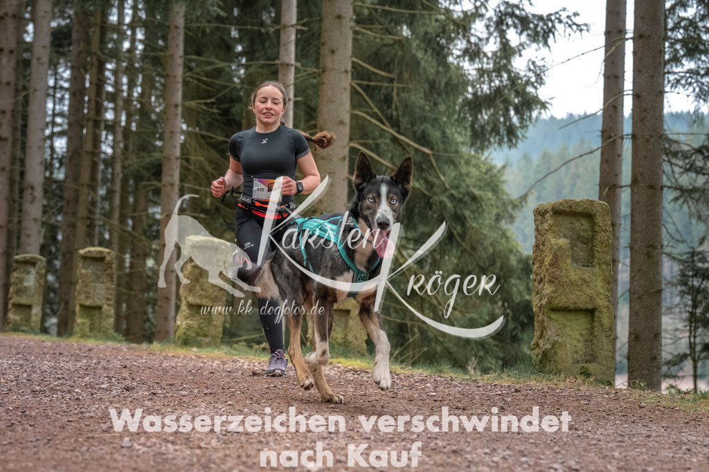 0803DZ6_2778 | kk-dogfotos