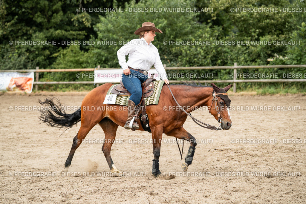 DSC02411 | Pferdegrafie