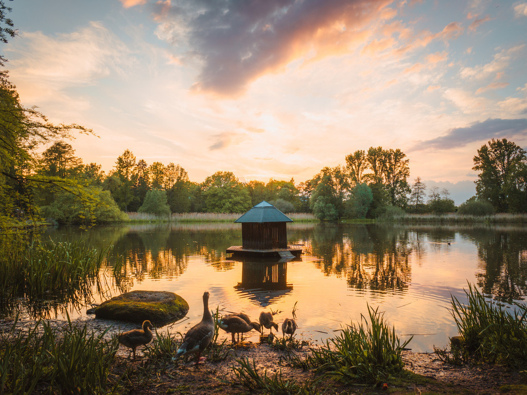 Siegfriedviertel | Entdecke exklusive Fotokunst aus Braunschweig: Bildband, Leinwände, Postkarten, Kalender, digitale Downloads & Bildlizenzen. Jetzt im offiziellen Beautiful Braunschweig Shop! - Realisiert mit Pictrs.com