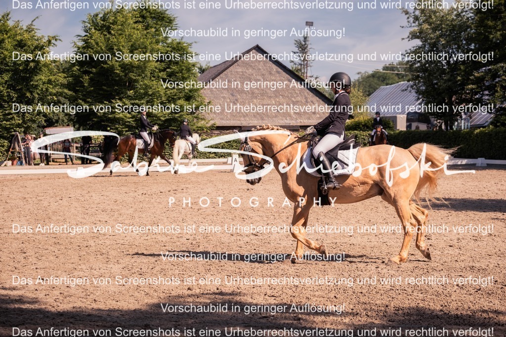 2025_05_31_DSCF3054 | People- und Tierfotografie, Imageaufnahmen, Veranstaltungsfotografie und Wandbilder aus der Natur ★ Made in Germany ✔️ Druck + Downloads ✔️ Naturfotografie in Top Qualität ★ schneller Versand, weltweite Lieferung! - Realisiert mit Pictrs.com