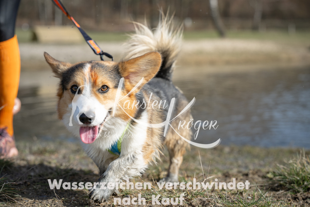 1313_ZZ95344 | kk-dogfotos