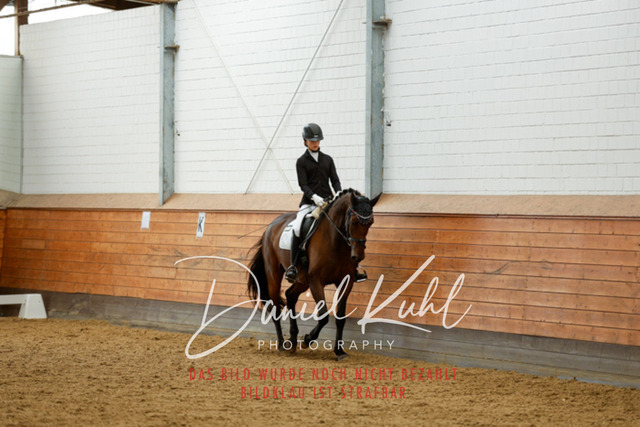 _62_6054 | Turniersportfotografie; Pferdefotografie; Dressurfotografie