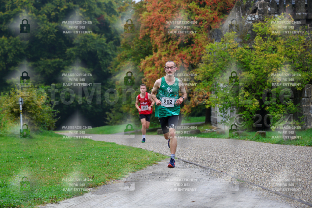 R6_ (60) | la-psv - Realisiert mit Pictrs.com