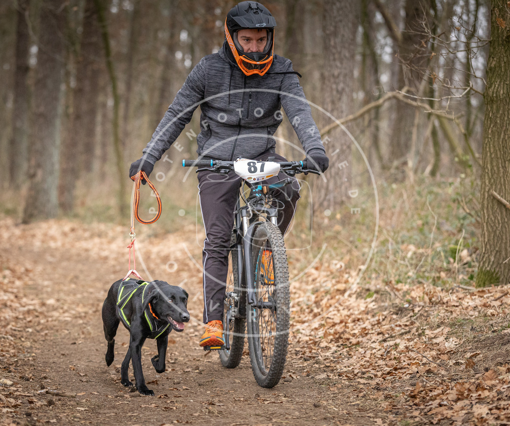 Pfotenfotografie_DV3A6540 | Hundefotografie, Tierfotograf, Pfotenfotografie, Fotoshooting Hund, Hunde Portrait, Hundesport, Hundeportraits, Heideshooting, Hunde, Sportfotograf, Hundefotograf, Turnierhundsport, THS,  - Realisiert mit Pictrs.com