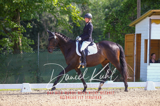 DKP42898 | Turniersportfotografie; Pferdefotografie; Dressurfotografie