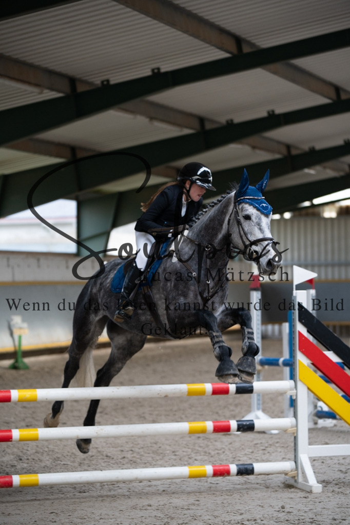 A7V04245 | Pferdefotograf