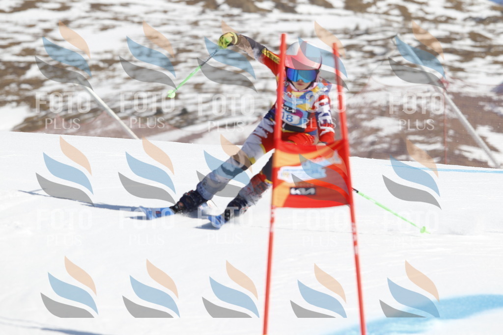 _U3G8815 | holidayphoto