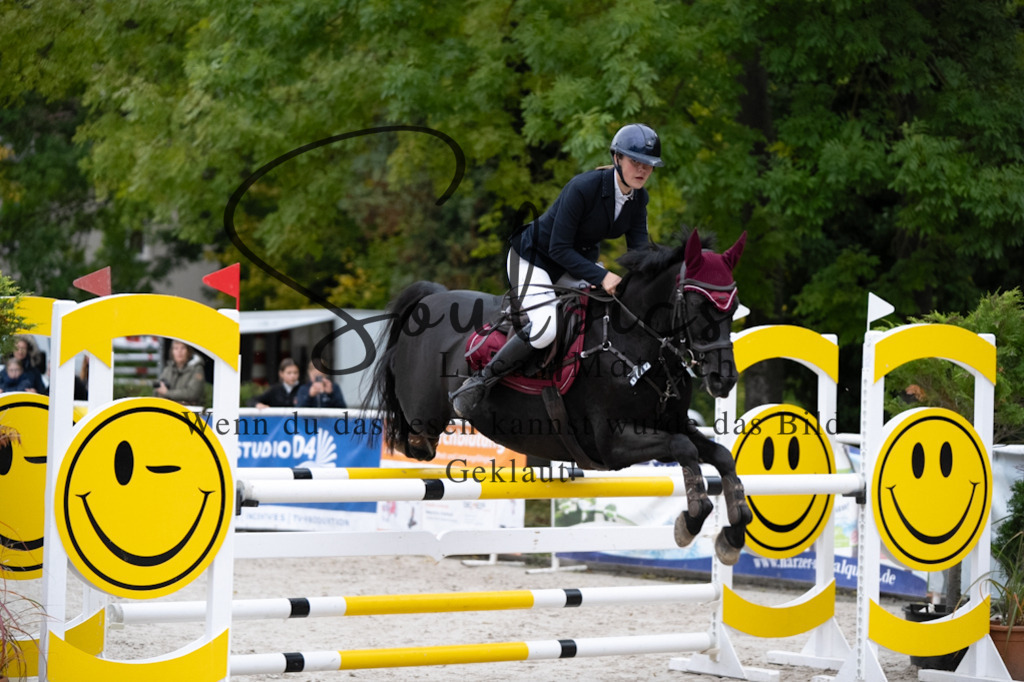 A7V08592 | Pferdefotograf