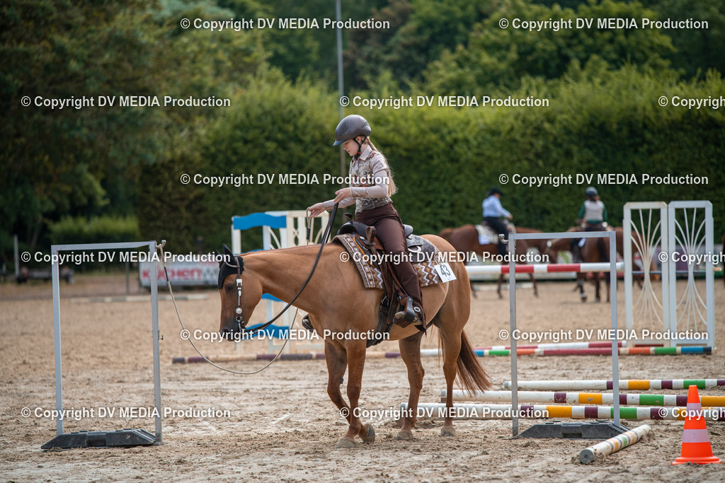 ZS3_9296 | dv-media-shop - Realisiert mit Pictrs.com