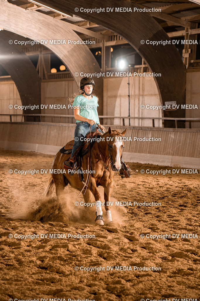 BA401173 | dv-media-shop - Realisiert mit Pictrs.com