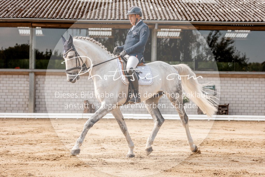3I6A3484 | Stimmungsvolle Portraits und Reitsportfotografie im Ruhrgebiet und im Münsterland.

Pferdefotografie, Hundefotografie, Tierfotografie, Reportagen, Portraits von Tier und Mensch, Turnierfotografie in Bochum, Recklinghausen, Marl, Haltern am See, Dülmen.. - Realisiert mit Pictrs.com