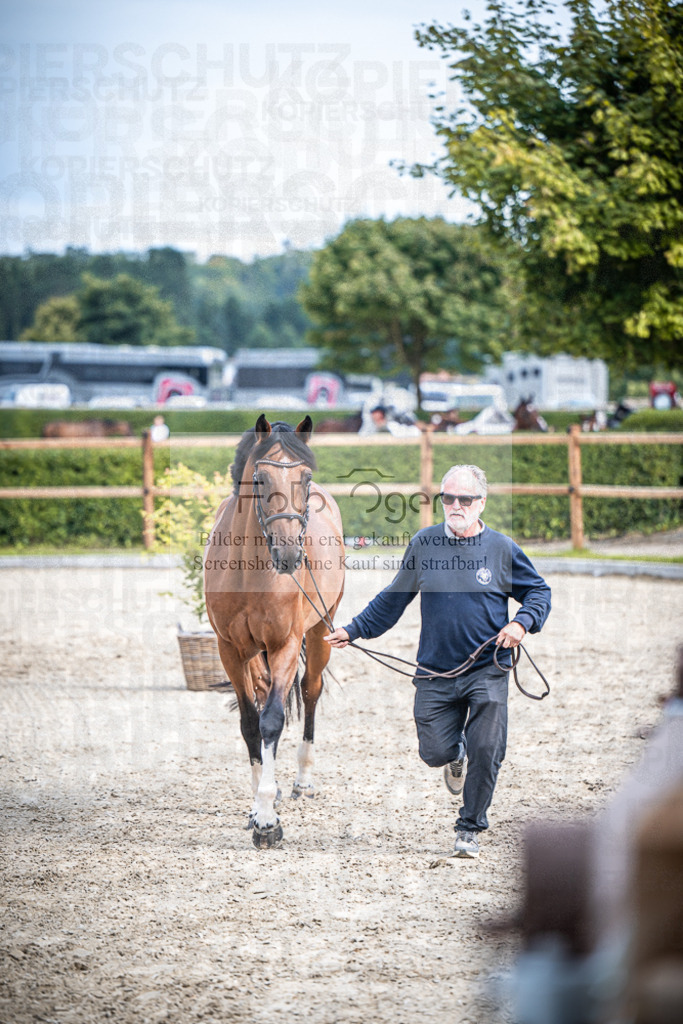 DOS_0866 | Entdecke hochwertige Reitturnierfotos von Foto Oger. Professionell, emotional und authentisch – jetzt Lieblingsmomente im Shop bestellen.Deutschlandweite Turnierfotografie. - Realisiert mit Pictrs.com
