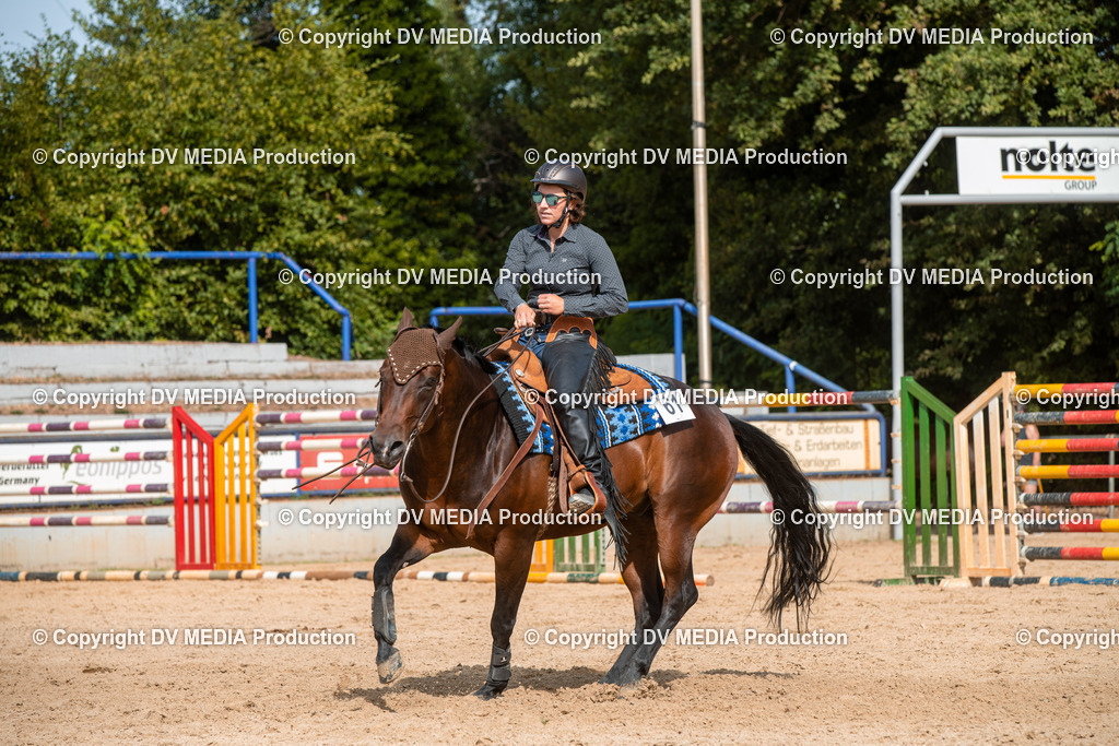 EWP_5874 | dv-media-shop - Realisiert mit Pictrs.com