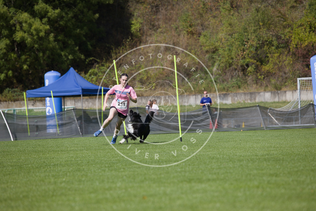 0L8A6063 | Hundefotografie, Tierfotograf, Pfotenfotografie, Fotoshooting Hund, Hunde Portrait, Hundesport, Hundeportraits, Heideshooting, Hunde, Sportfotograf, Hundefotograf, Turnierhundsport, THS,  - Realisiert mit Pictrs.com