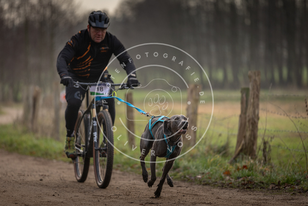 Pfotenfotografie_DV3A1927 | Hundefotografie, Tierfotograf, Pfotenfotografie, Fotoshooting Hund, Hunde Portrait, Hundesport, Hundeportraits, Heideshooting, Hunde, Sportfotograf, Hundefotograf, Turnierhundsport, THS,  - Realisiert mit Pictrs.com