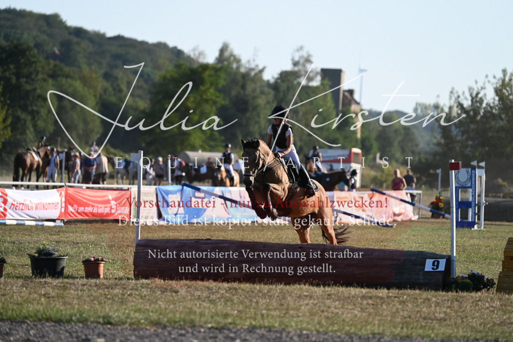 DSC_9171 | Pferde- und Turnierfotografie in Westsachsen. Pferdeportraits, Auftragszeichnungen und intuitive Kunst.
