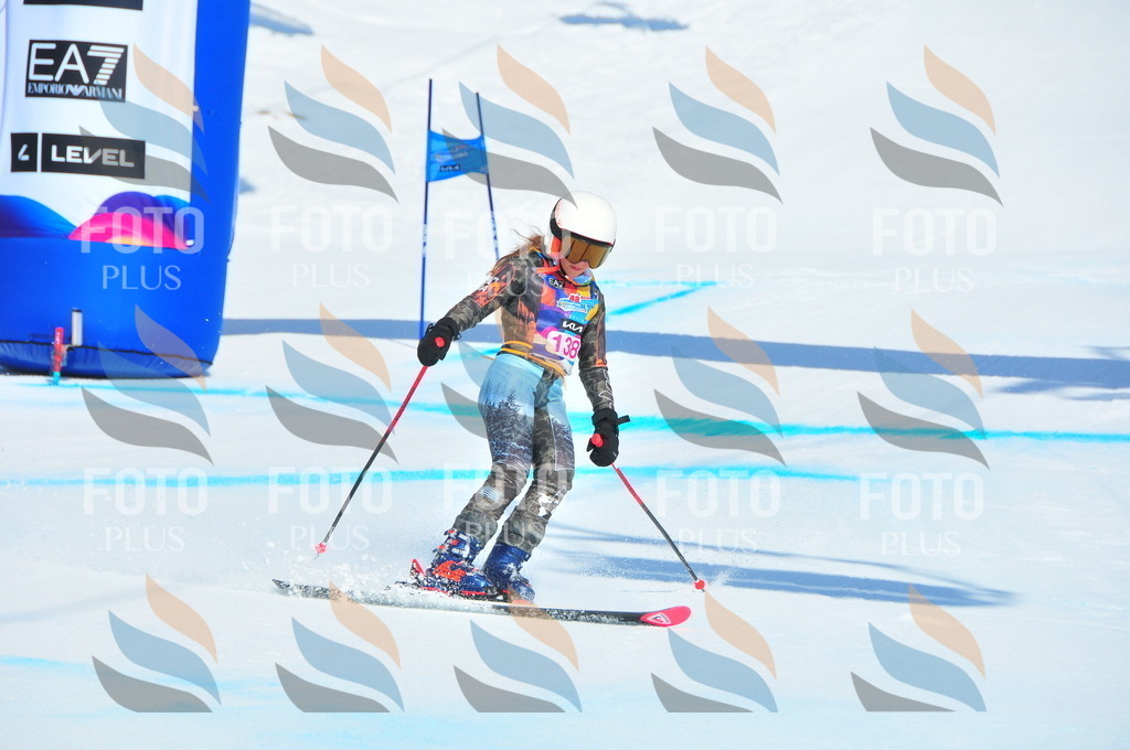 DSC_4945 | holidayphoto