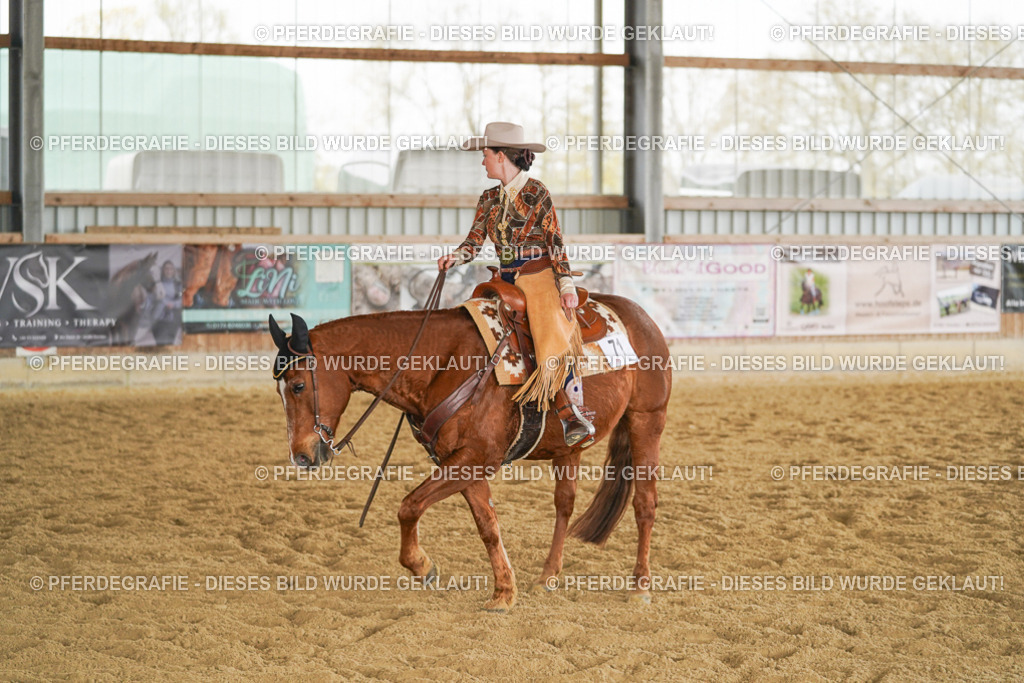 DSC04902 | Pferdegrafie