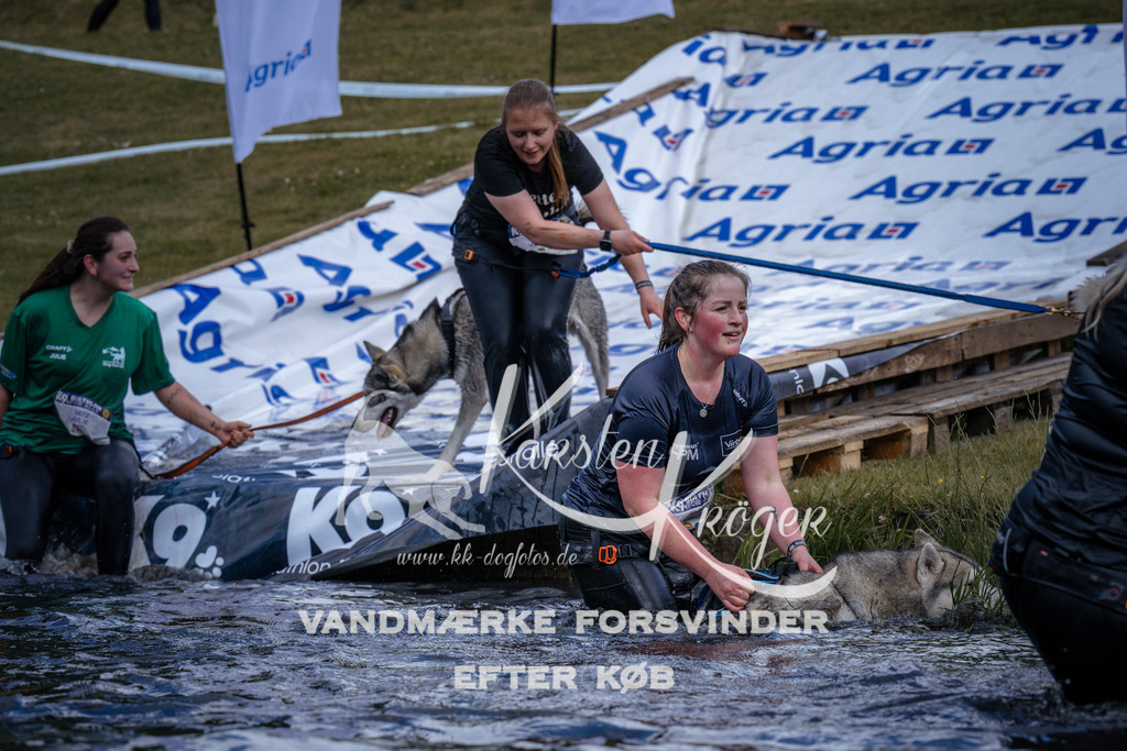 _ZZ912060912 | kk-dogfotos