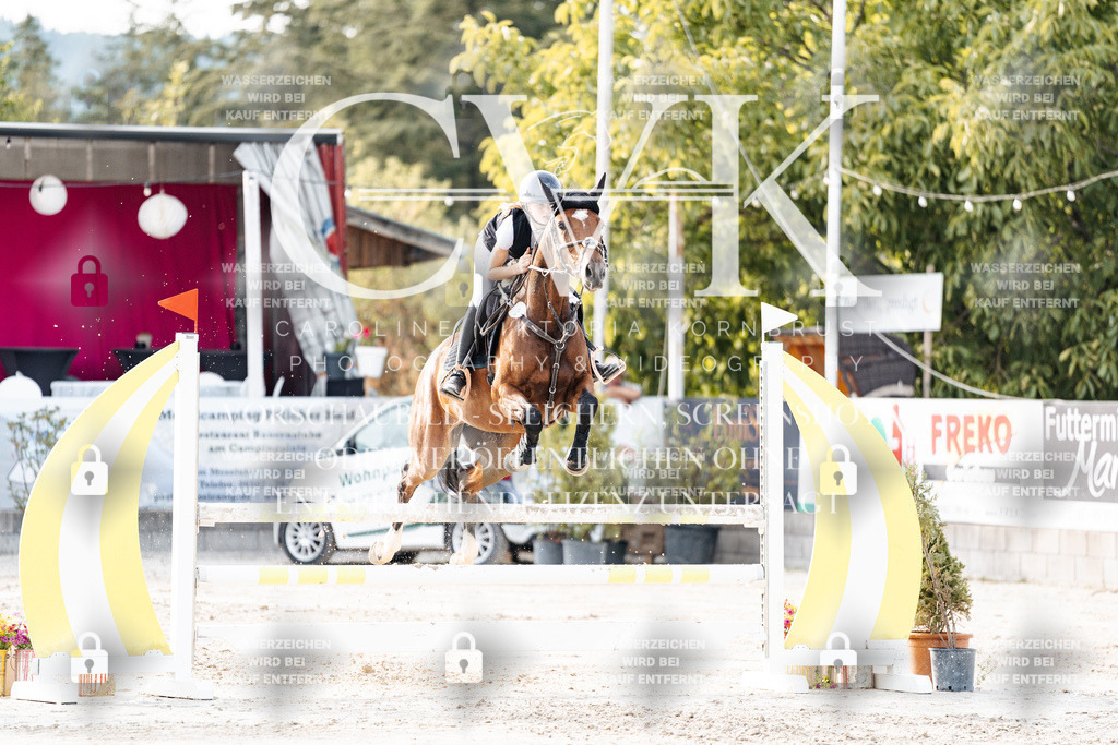 CK906996 | Turnierfotografie Pferdefotografie Trier Rheinland-Pfalz Pferdesport Reitsport Tierfotografie Sportfotografie Pferdevideo Pferdevideografie Equestrianvideography equestrianphotography  - Realisiert mit Pictrs.com