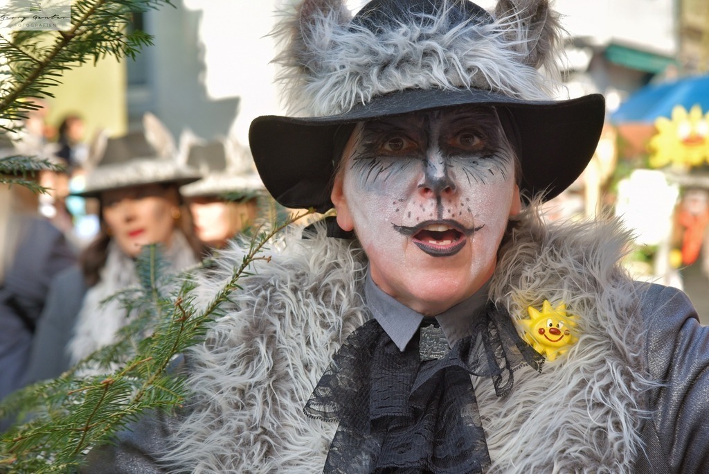 FaSoUmzug-158-RA | Fotoblog Schwarzwald, Foto Blog Wiesental, Pfaffenberg, Winterzauber, Zeller Bergland, Zell im Wiesental, Fotoblog Wiesental, Landschaftsfotos, Bilder Wiesental, Natur, Naturbilder, Fastnacht, Zeller Fastnacht, Zeller Fasnacht, Zeller Bergland, Belchen, - Realisiert mit Pictrs.com