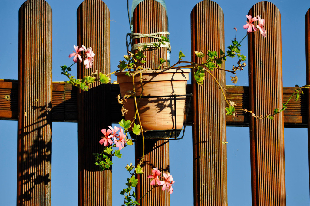 Blumentopf am Holzzaun | Enzersfeld, Austria - October 02, 2011: Blumentopf am Holzzaun. - Realisiert mit Pictrs.com