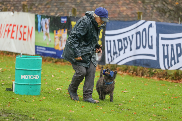 2025_Rally_Obedience_SM-109 | Ich fotografiere Hundeausstellungen, Sportanlässe, Zuchtstätten, Hundezucht, Hundeportrait, Lagotto - Realisiert mit Pictrs.com