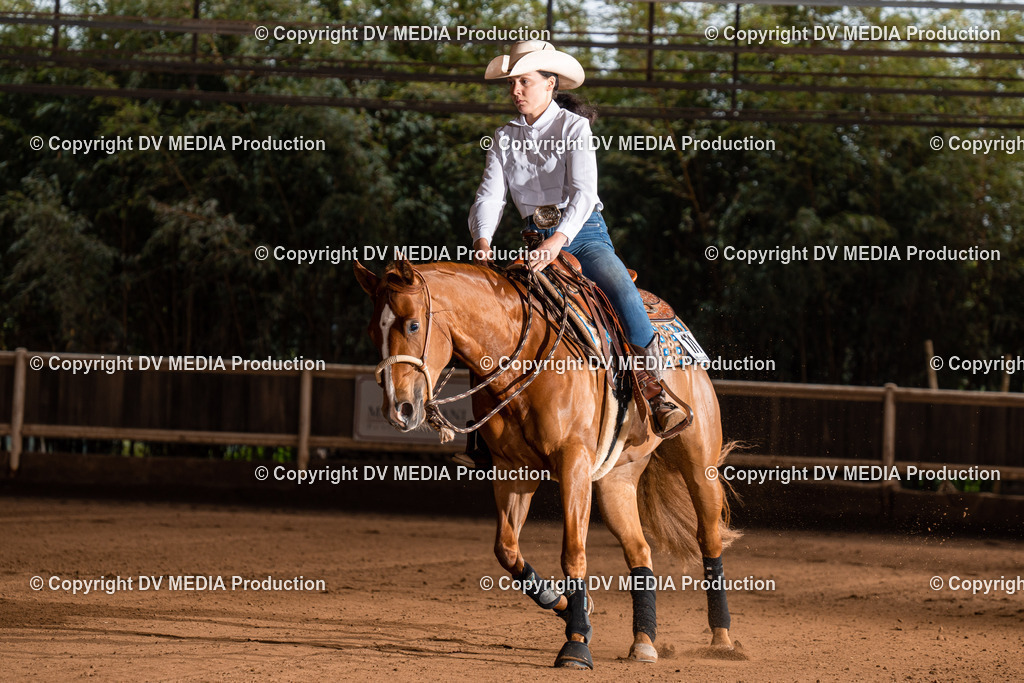 Erbach Tag 2-992 | dv-media-shop - Realisiert mit Pictrs.com