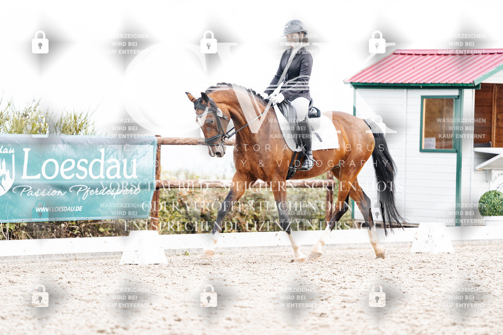 CK900988 | Turnierfotografie Pferdefotografie Trier Rheinland-Pfalz Pferdesport Reitsport Tierfotografie Sportfotografie Pferdevideo Pferdevideografie Equestrianvideography equestrianphotography  - Realisiert mit Pictrs.com