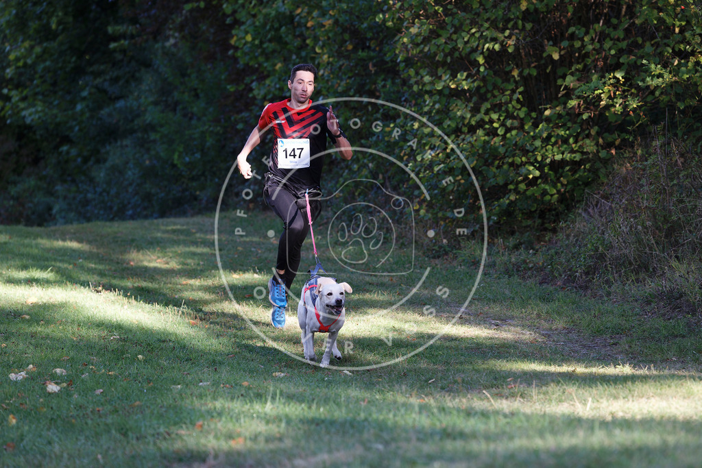 0L8A4932 | Hundefotografie, Tierfotograf, Pfotenfotografie, Fotoshooting Hund, Hunde Portrait, Hundesport, Hundeportraits, Heideshooting, Hunde, Sportfotograf, Hundefotograf, Turnierhundsport, THS,  - Realisiert mit Pictrs.com