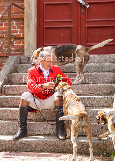 Jagd Knoop 26_MarinaHewigMCH02721 | Fotografie, FotoArt, PferdesportArt, Pferdesportfotografie, Landschaftsfotografie, Reisefotografie, Reise, Pferde - Realisiert mit Pictrs.com