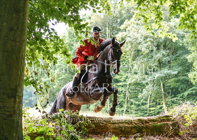 Jagd Knoop 26_MarinaHewigMCH02391 | Fotografie, FotoArt, PferdesportArt, Pferdesportfotografie, Landschaftsfotografie, Reisefotografie, Reise, Pferde - Realisiert mit Pictrs.com