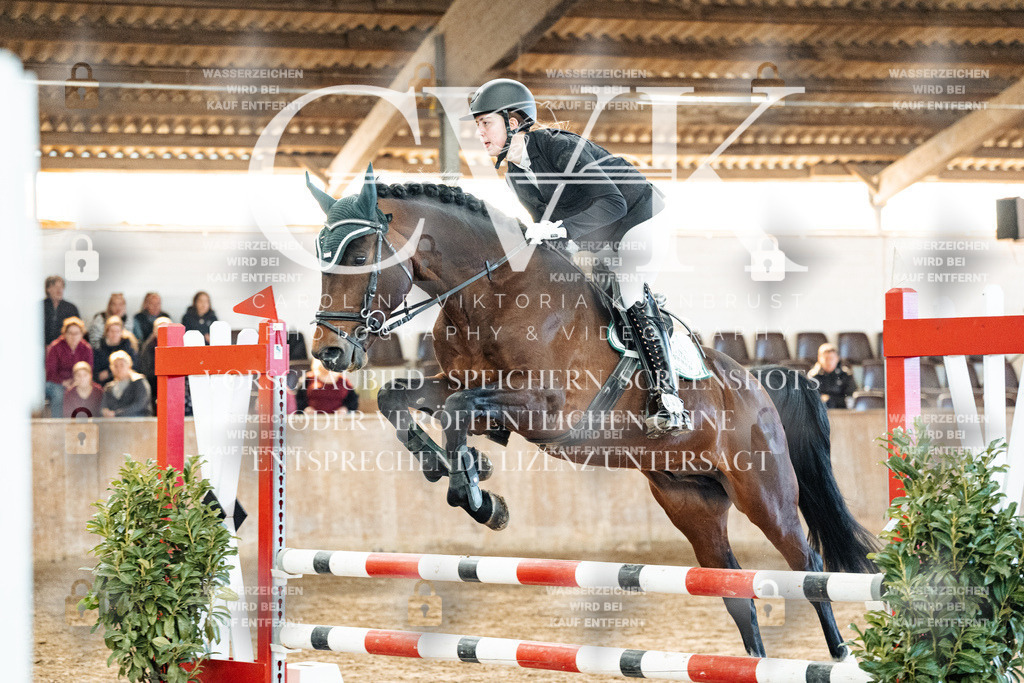 CK904310 | Turnierfotografie Pferdefotografie Trier Rheinland-Pfalz Pferdesport Reitsport Tierfotografie Sportfotografie Pferdevideo Pferdevideografie Equestrianvideography equestrianphotography  - Realisiert mit Pictrs.com
