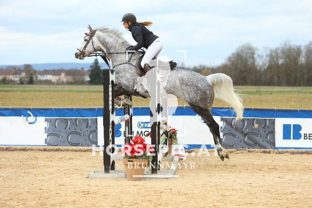 DL2Q2552 | Willkommen bei Brunnmayr - Design & Fotografie – Ihrem Spezialisten für Reitturniere und Pferdeveranstaltungen in Oberösterreich, Salzburg und Bayern! Seit über 17 Jahren sind wir leidenschaftlich dabei.
