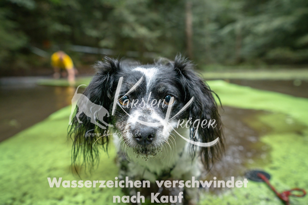 1522_ZZ90453-Bearbeitet | kk-dogfotos