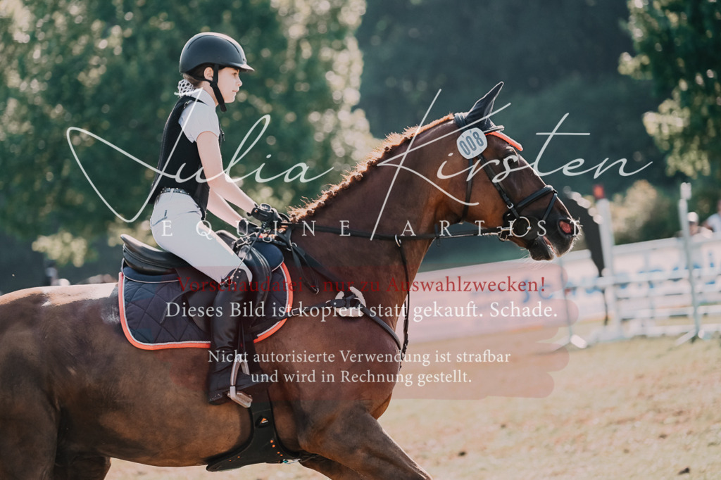 DSC_4866 | Pferde- und Turnierfotografie in Westsachsen. Pferdeportraits, Auftragszeichnungen und intuitive Kunst.