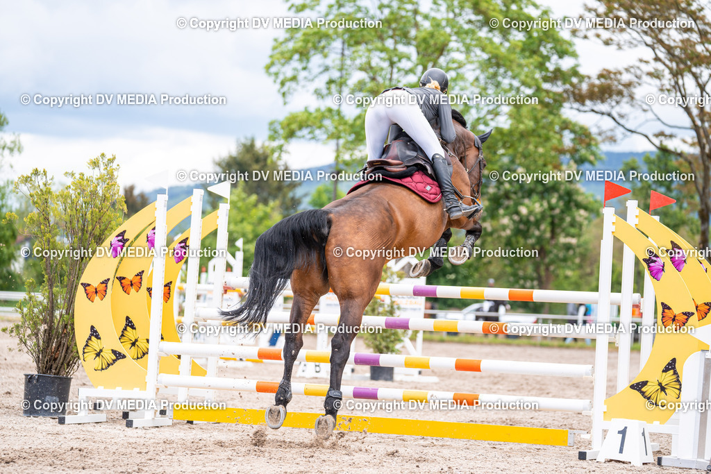 Eppelheim Tag 1-227 | dv-media-shop - Realisiert mit Pictrs.com